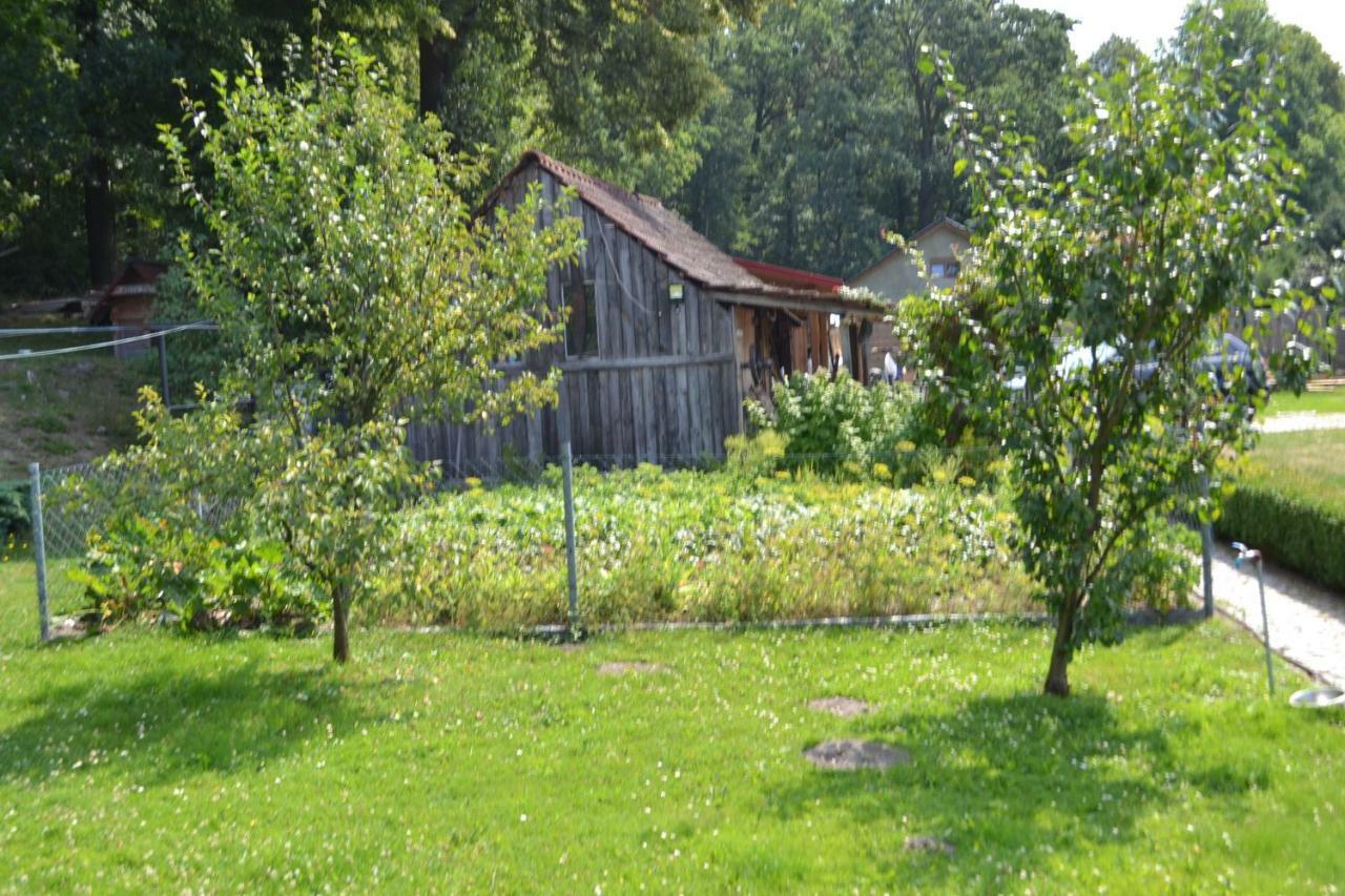 Agroturystyka Burylowka Osiecznica Exterior foto